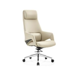 Ibutho office chair
